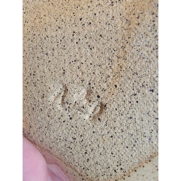 Studio Art Pottery Wavy Dish 7in Tan Pressed Leaf & Berries Pattern Signed - Picture 9 of 10